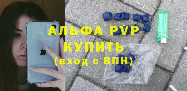 стафф Ладушкин
