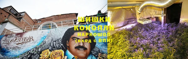 спиды Лагань